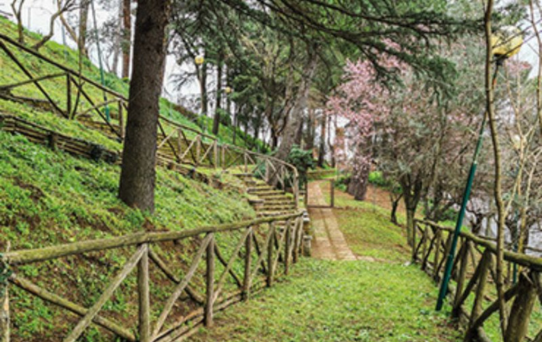 Itinerario Verde